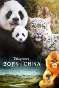 VER Born in China (2016) Online Gratis HD