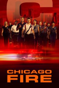 VER Chicago Fire (2012) Online Gratis HD