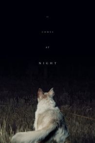 VER Llega de noche (2017) Online Gratis HD